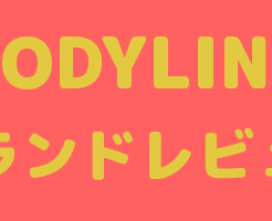 BODYLINE(ボディーライン)製衣装の品質・クオリティについて